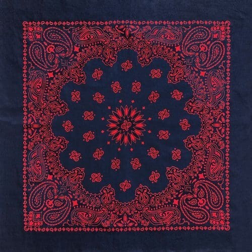 Carolina creative bandanna - carolina,