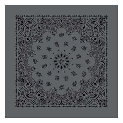 Austin charcoal black paisley - austin,