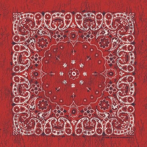 Rustic red paisley 27x27 - rustic,