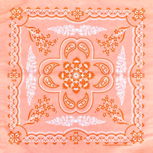 Floral paisley coral 27x27 - coral,